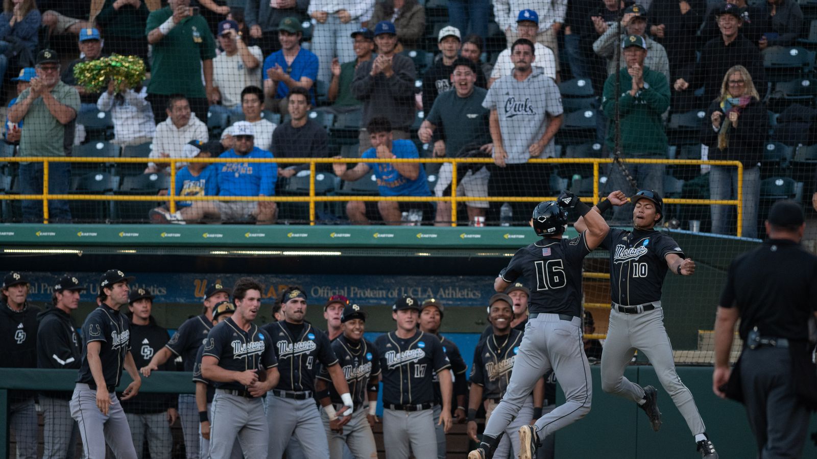 Ryan Tayman celebrates homerun with teammates