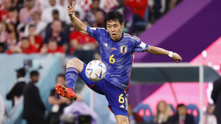 6. Wataru Endo