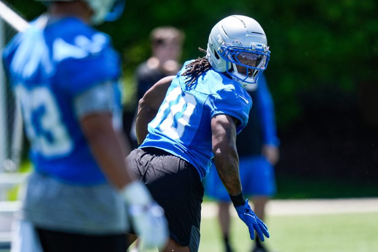 3. Detroit Lions