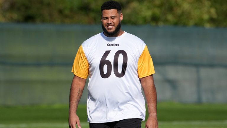 Steelers: PFF Metrics Grades/Outlook