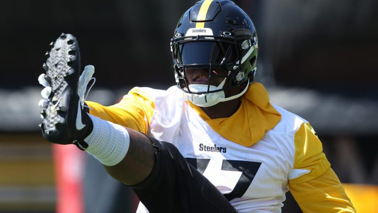 Steelers: Training Camp Day 2