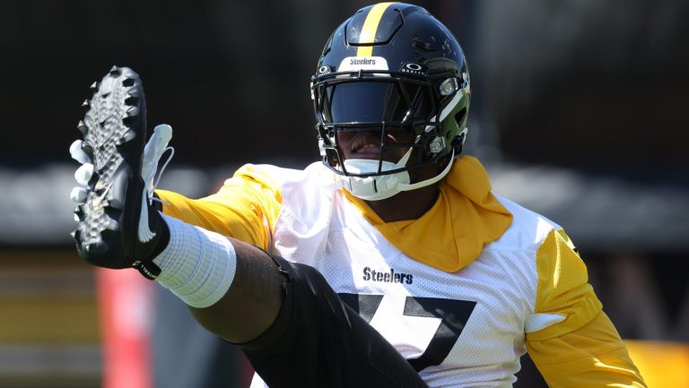Steelers Training Camp: Day 1