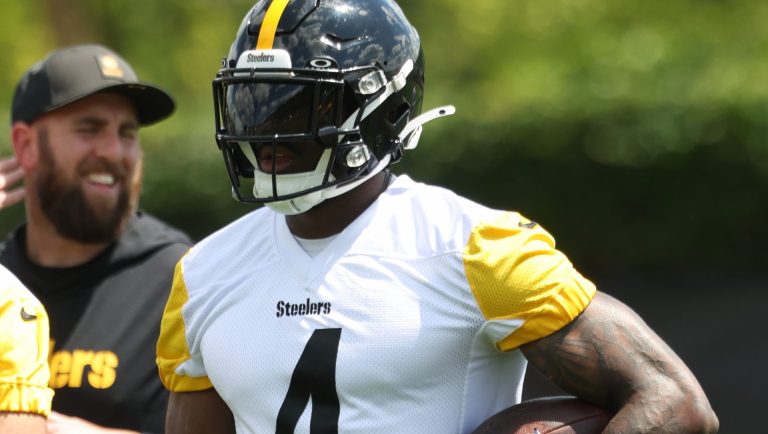 Steelers: Aaron Rodgers on DK Metcalf