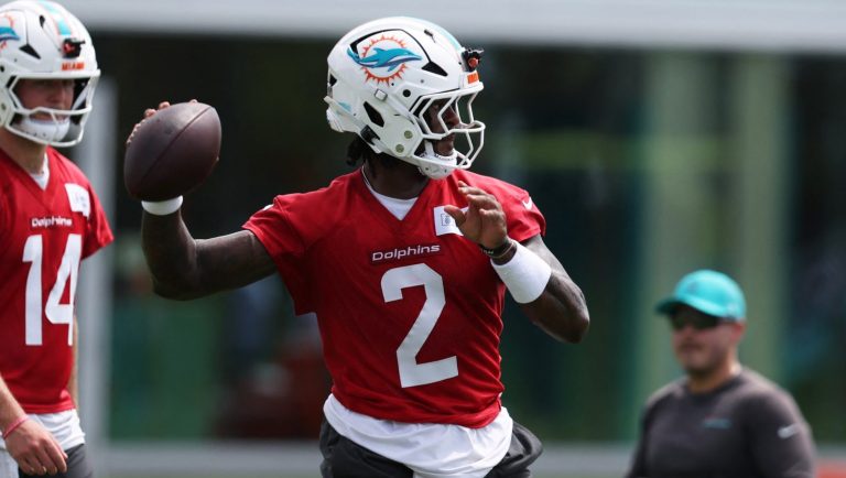 29) Miami Dolphins