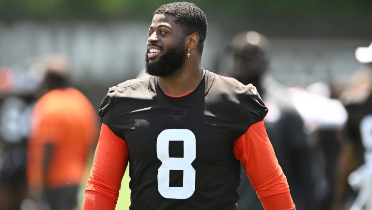 All AFC-North Division Team: Defense