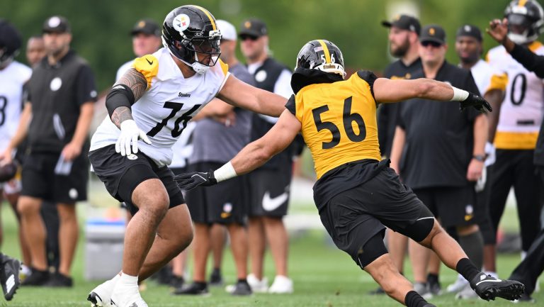 Steelers Training Camp: Day 1