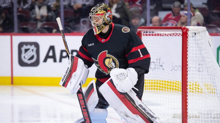 Leevi Meriläinen | Goaltender