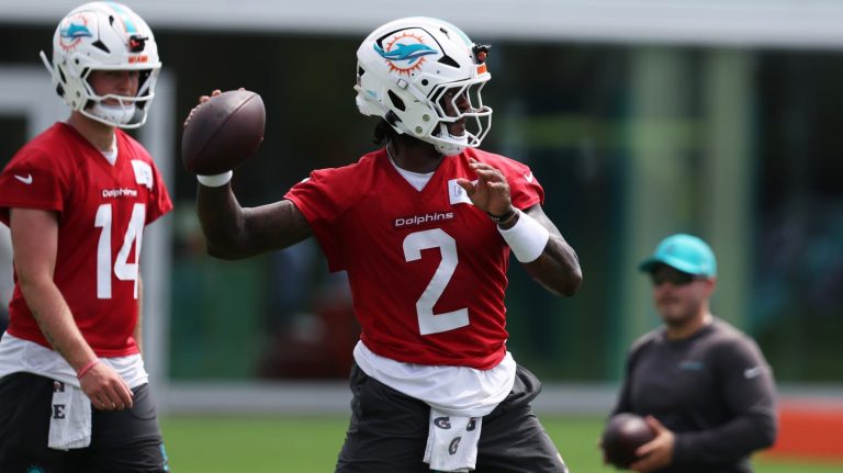 25. Miami Dolphins