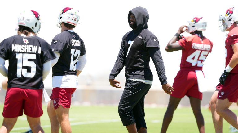 30. Arizona Cardinals