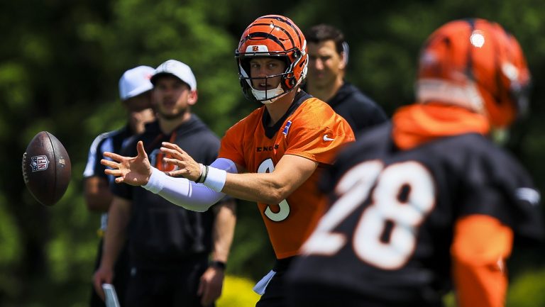 5. Cincinnati Bengals