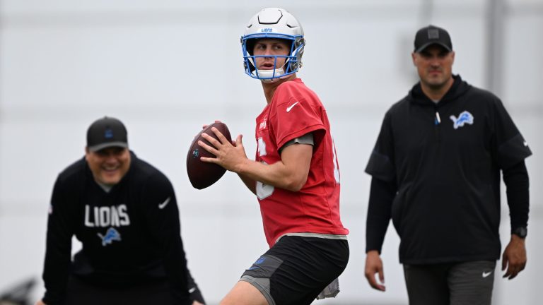 12. Detroit Lions
