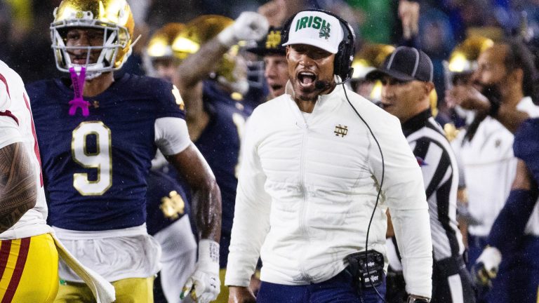 3. Notre Dame Fighting Irish