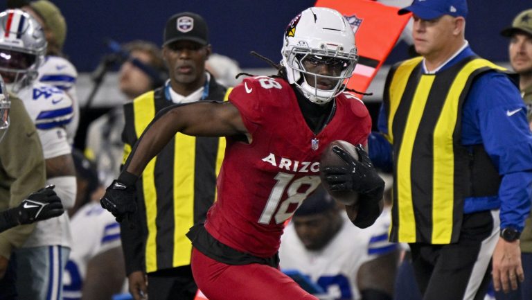 32. Arizona Cardinals