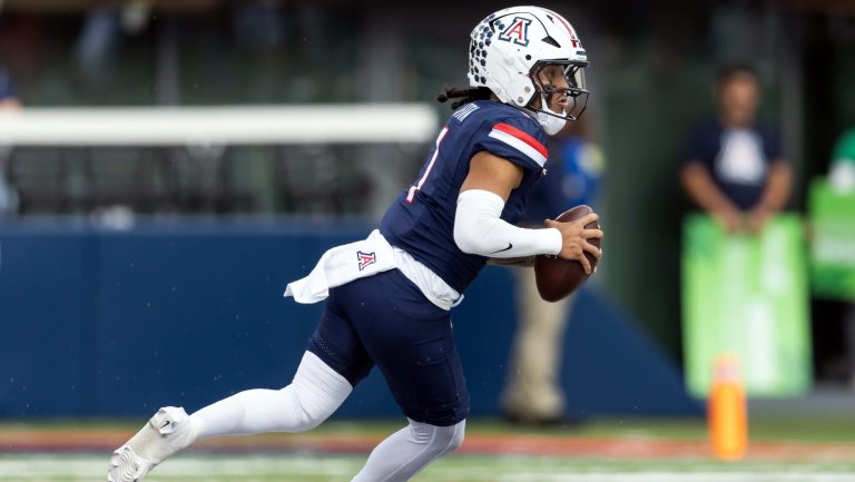 24. Arizona Wildcats