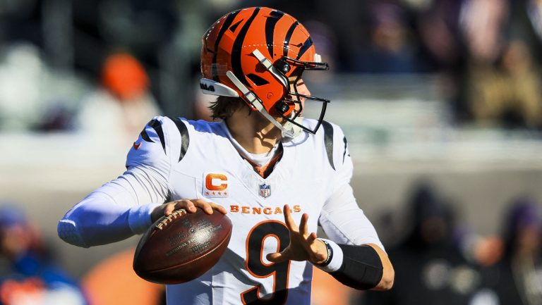 17. Cincinnati Bengals
