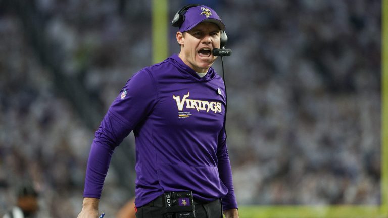 17. Minnesota Vikings