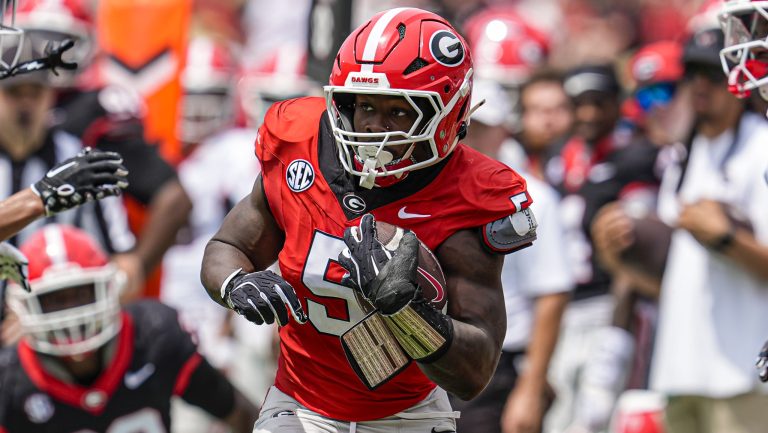 3. Georgia Bulldogs
