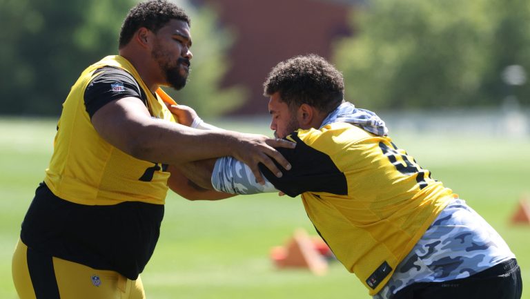 Steelers 53-man Roster: Defensive Linemen & Outside Linebackers