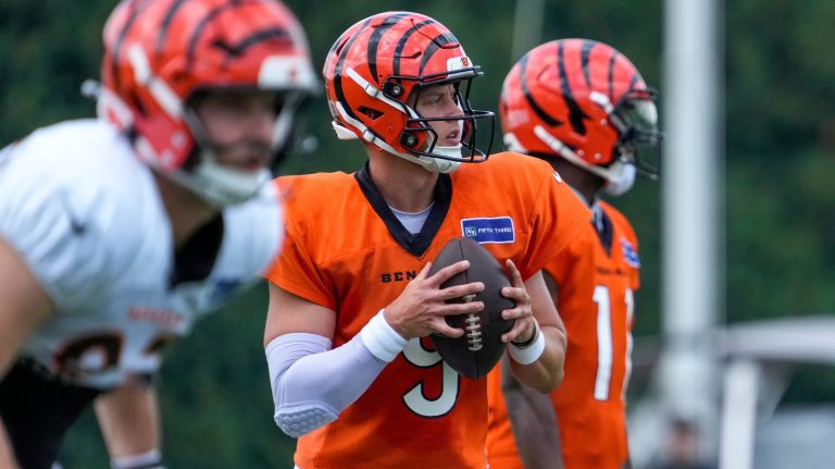 10. Cincinnati Bengals
