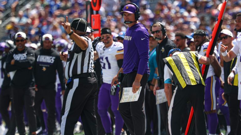 18. Minnesota Vikings