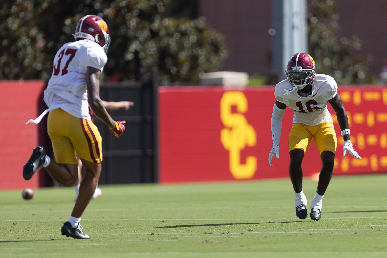 Prophet Brown (16) Drills at USC Football Practice