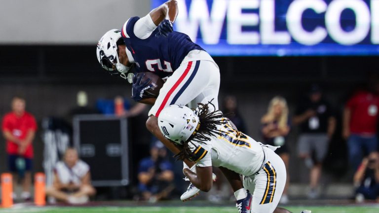 8. Arizona Wildcats