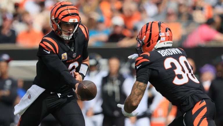AFC 5 Seed: Cincinnati Bengals