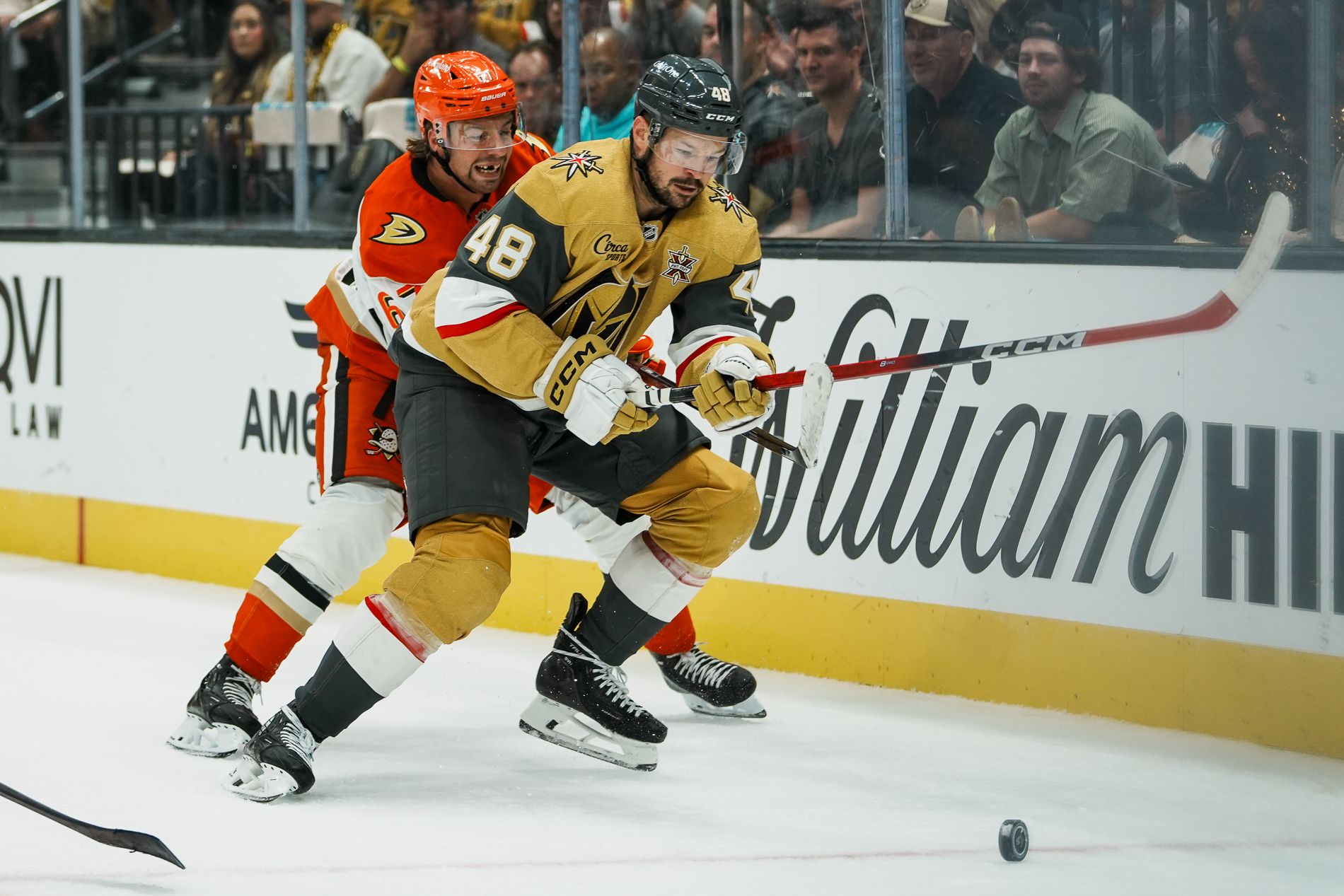 Tomas Hertl and Tristan Luneau chase the puck behind the Ducks' goal.
