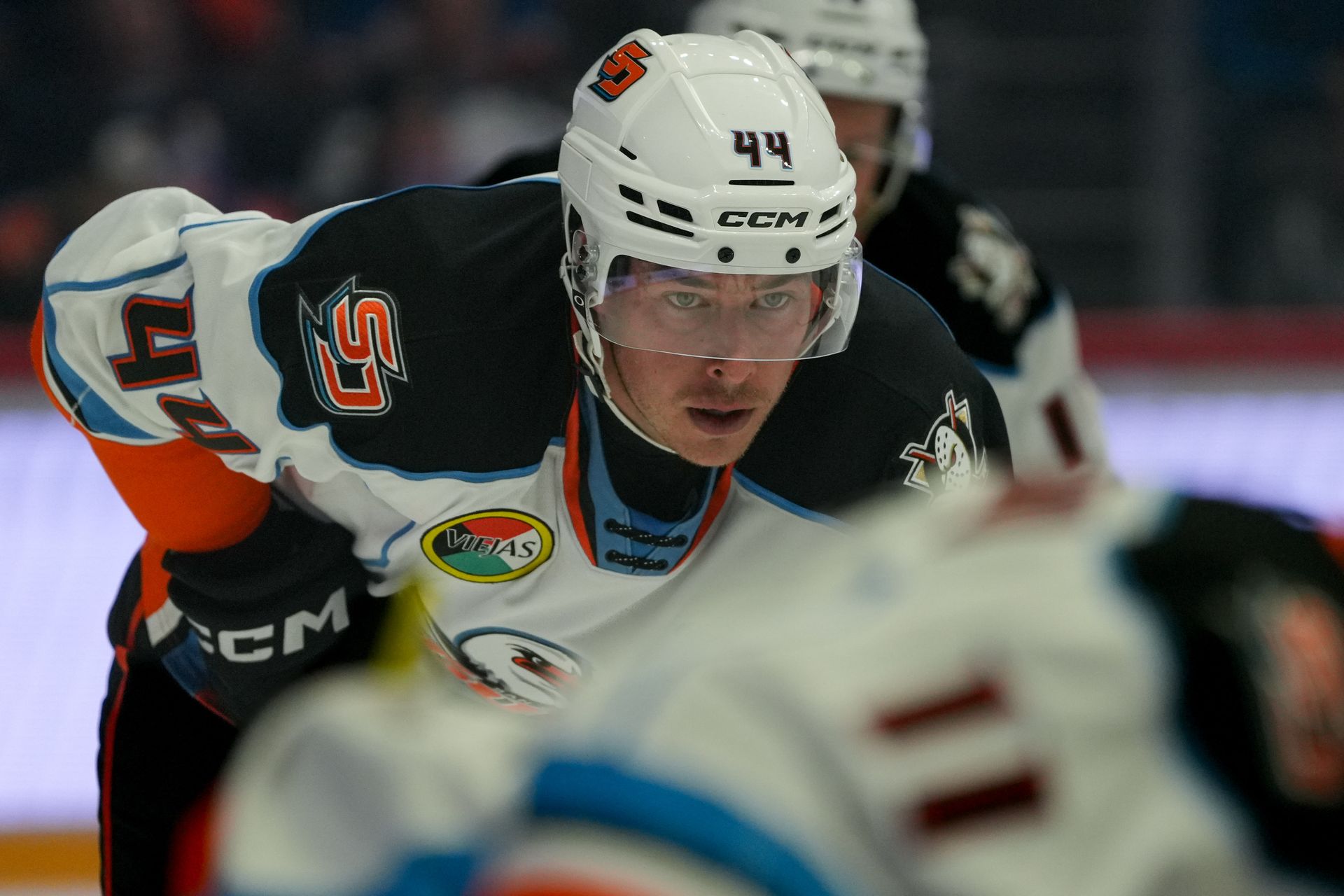 Corey Schueneman looks on during the Gulls vs. Knights match.