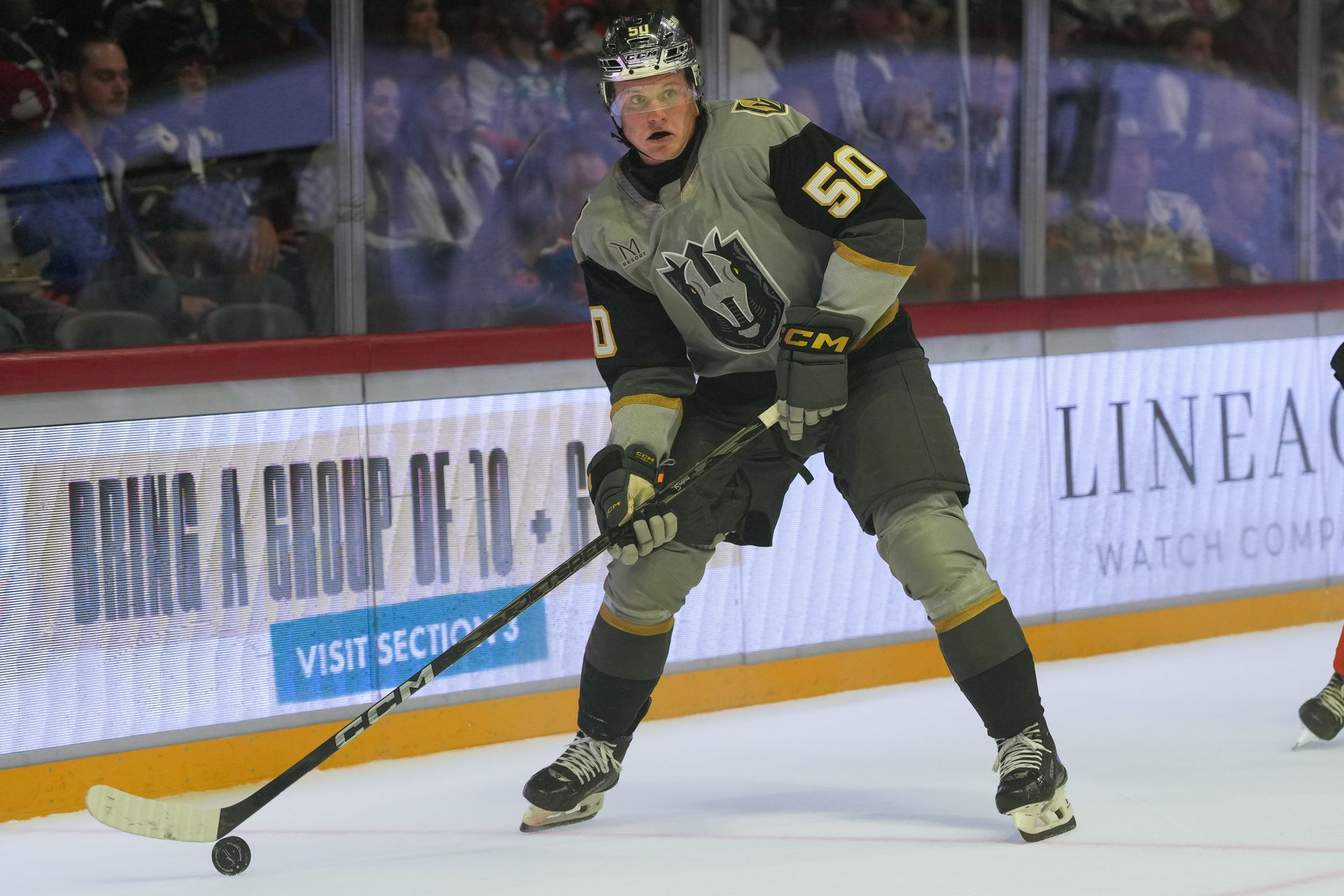 Joe Fleming controls the puck against the Gulls.