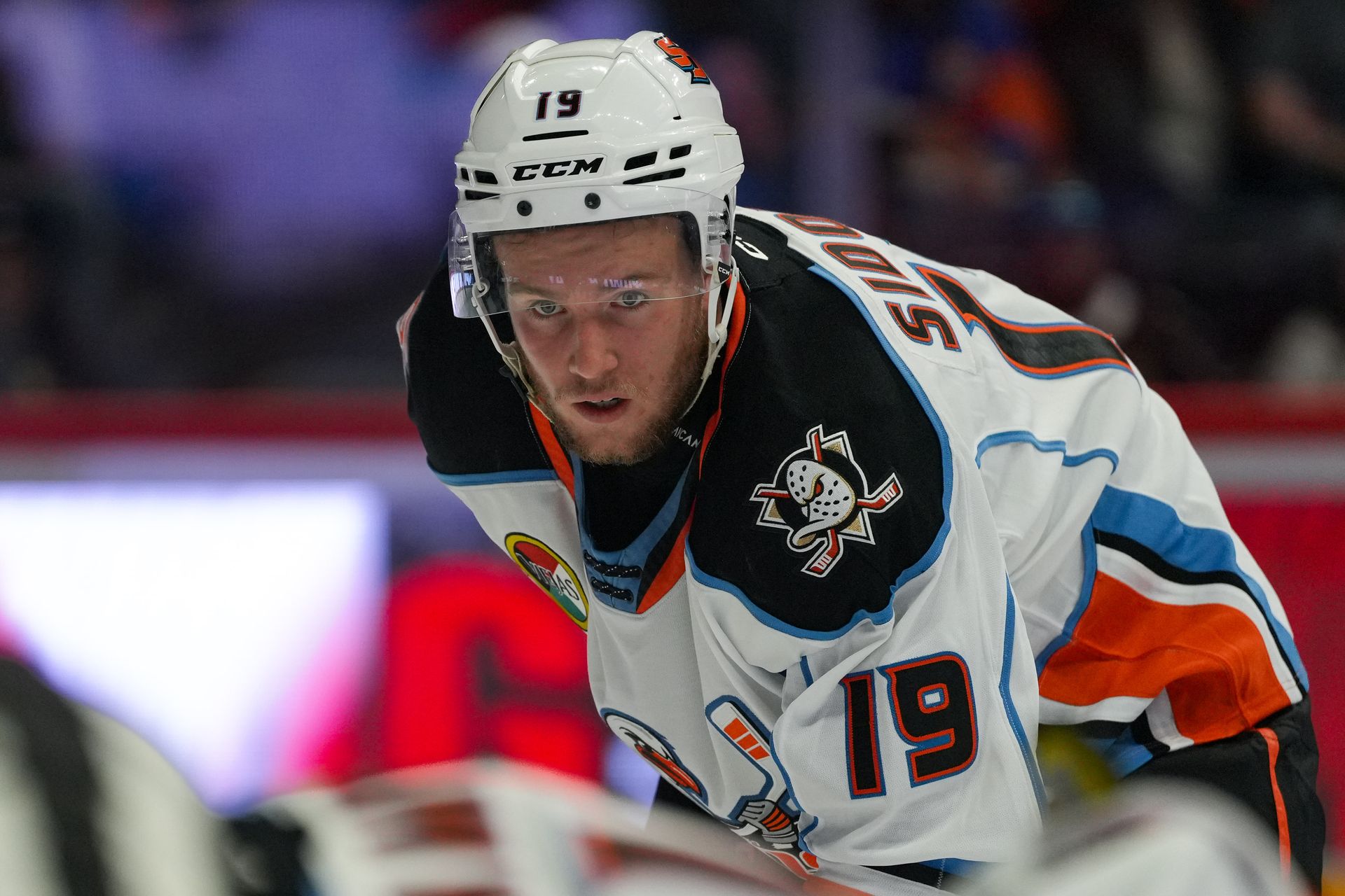 Yegor Sidorov looks on during the Gulls vs. Knights game.