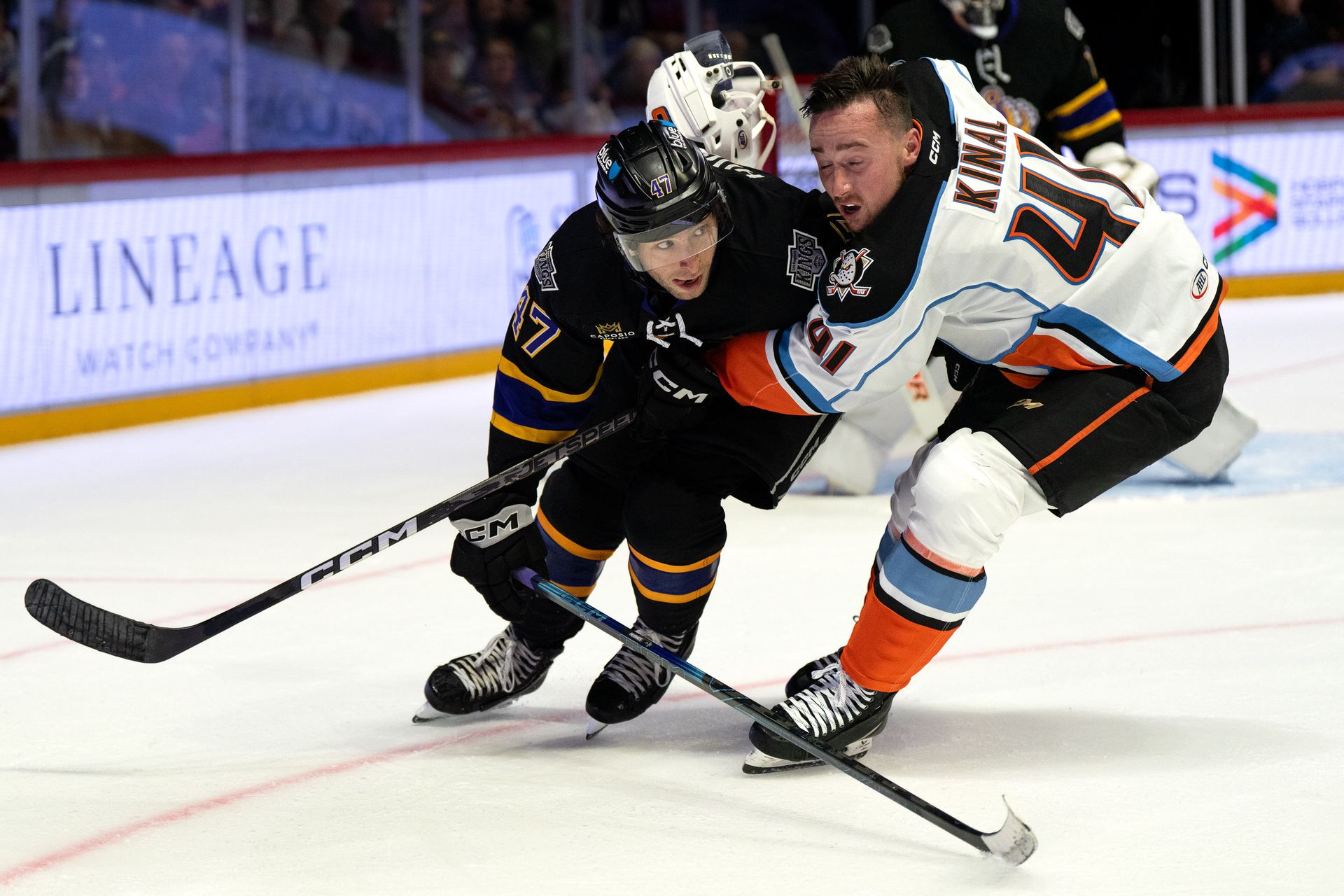 Roman Kinal and Jack Hughes clash during AHL action