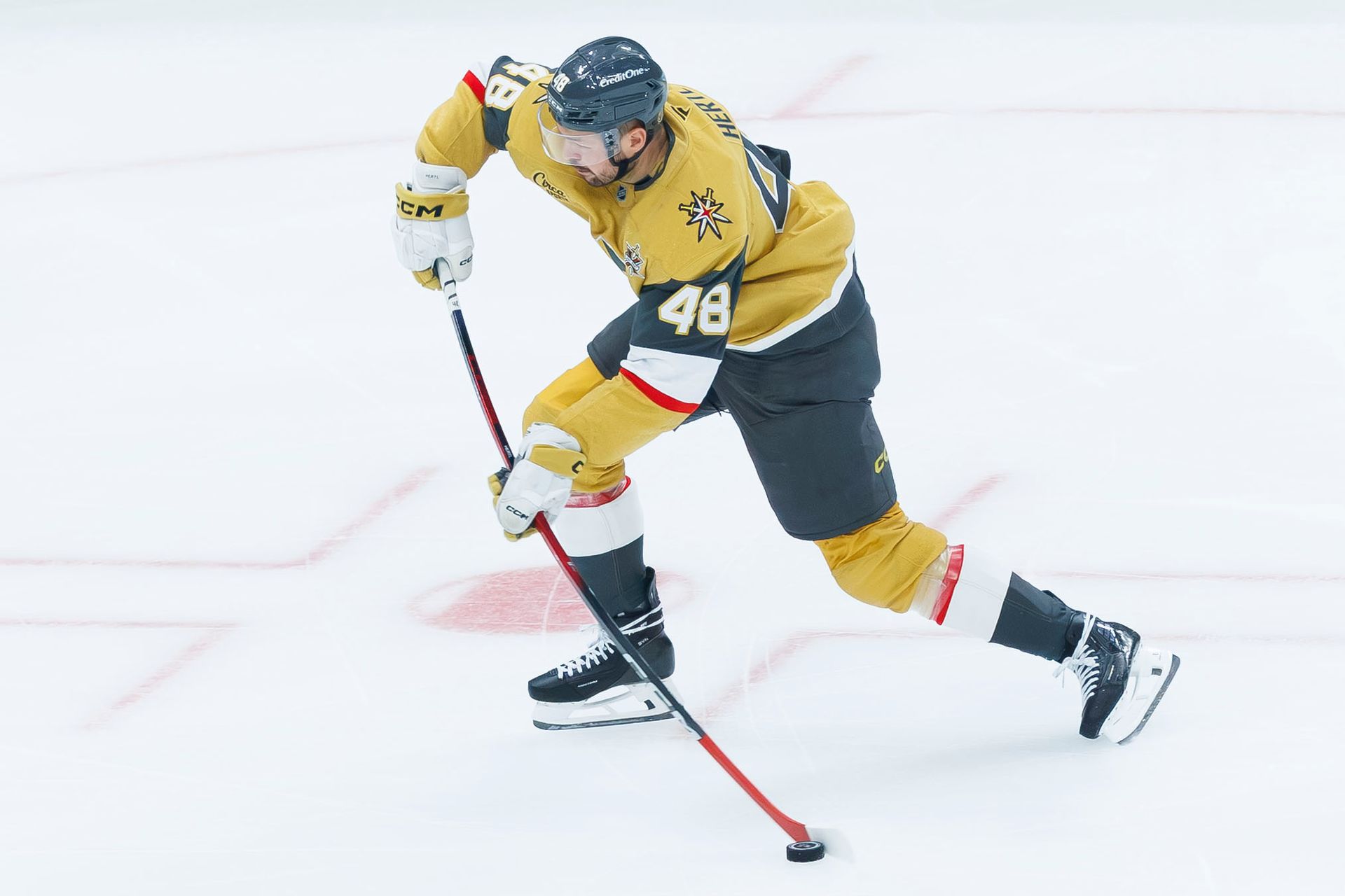 Tomas Hertl lines up a shot against Tampa Bay