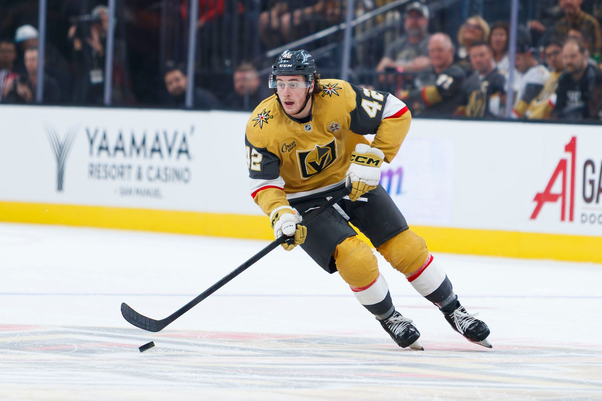 Braeden Bowman carries the puck into the offensive zone