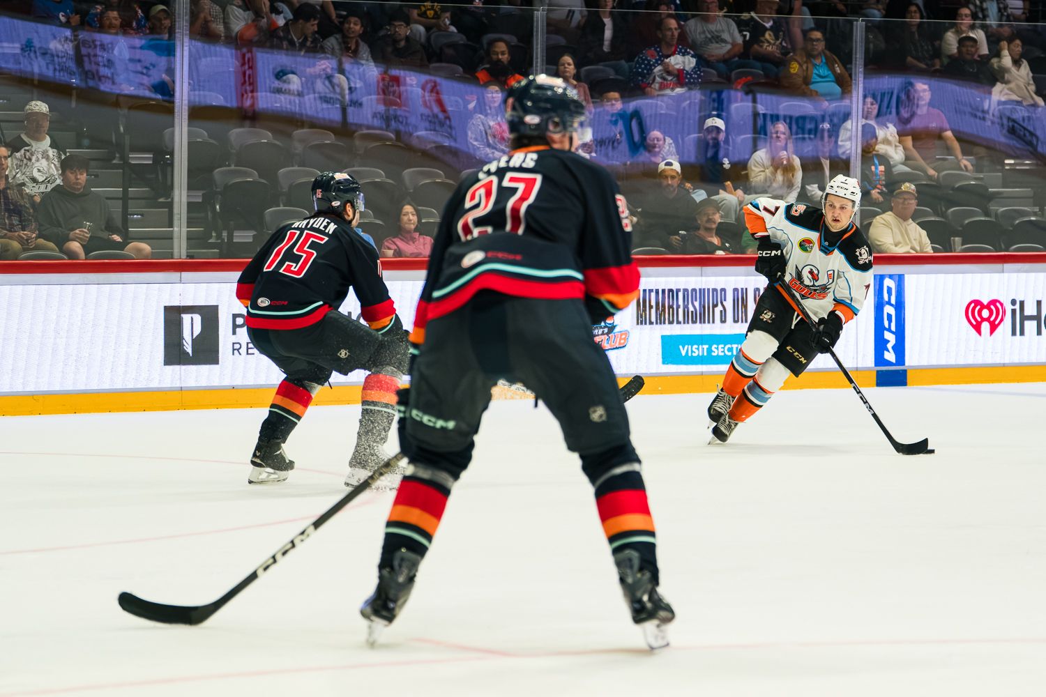 Stian Solberg joins the Gulls attack