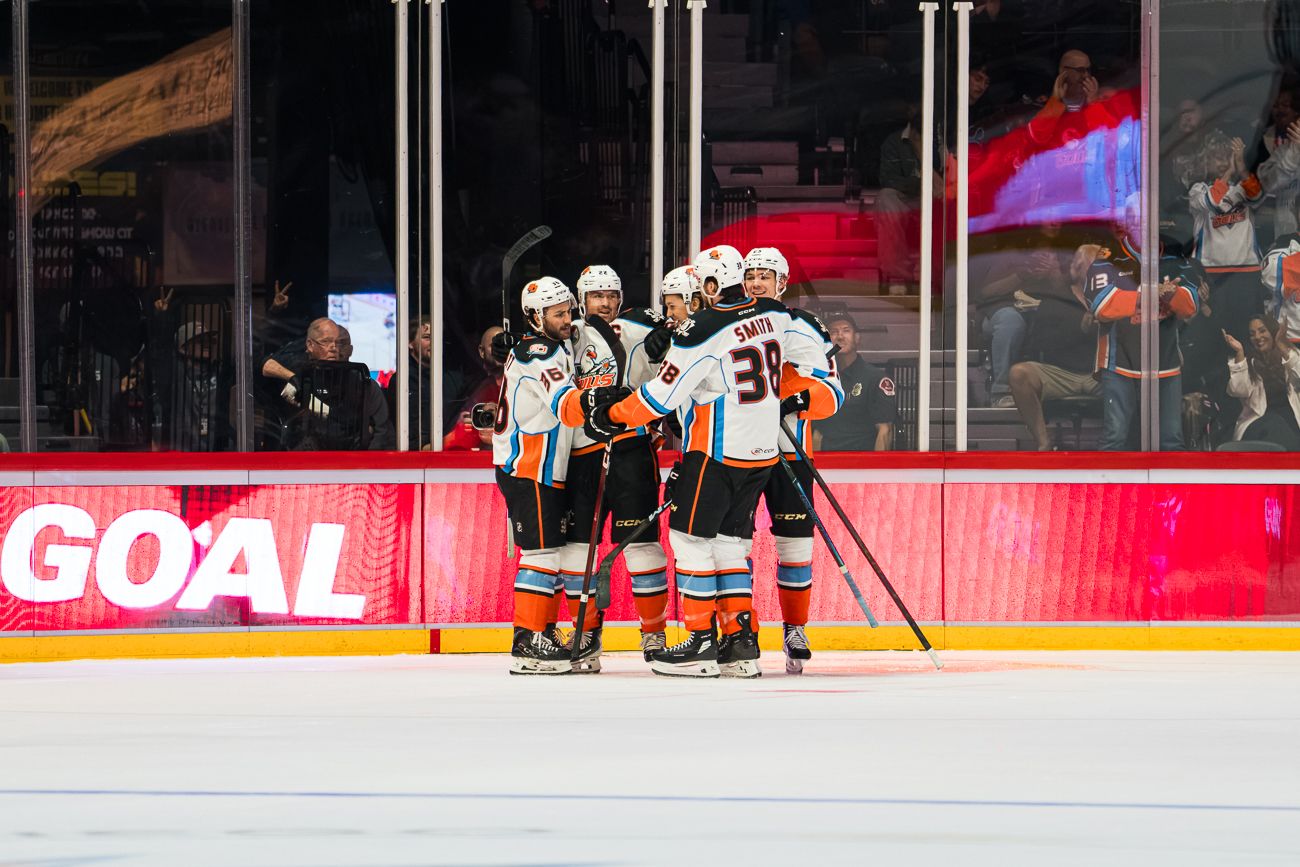 San Diego Gulls celebrate a goal