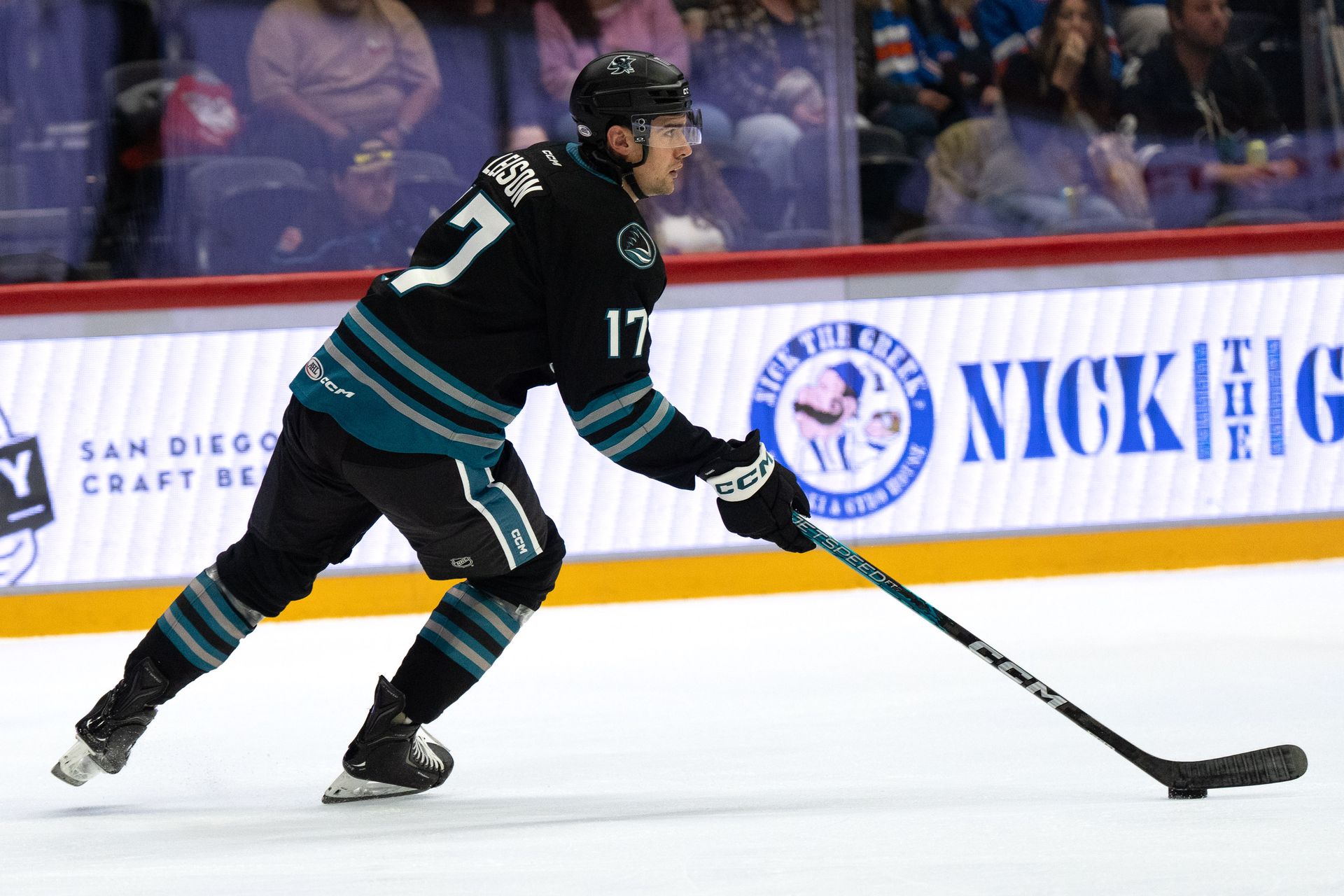 Brett Leason looks to pass against the Gulls