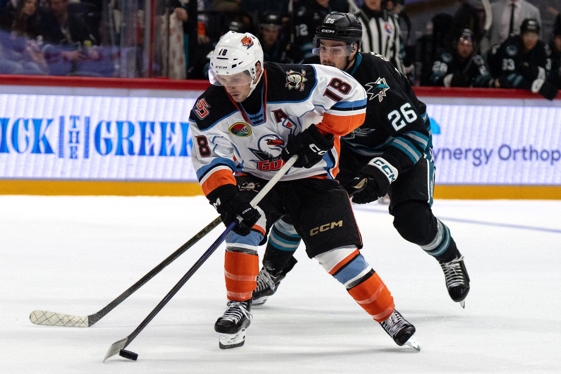 Matthew Phillips controls the puck for the Gulls