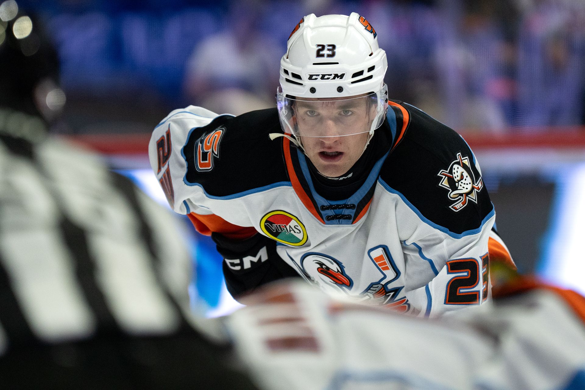 Lucas Pettersson looks on during Gulls-Barracuda